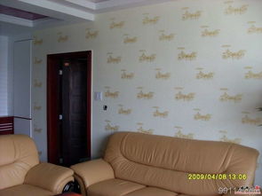 金佳液體壁紙 液體壁紙價(jià)格