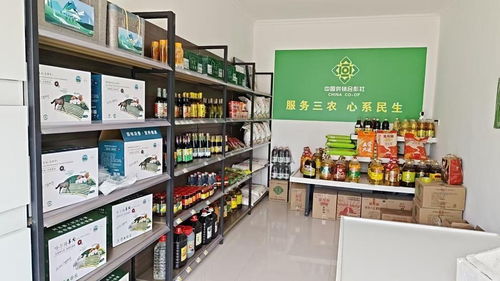 阿克塞供銷社變身幸福驛站 農(nóng)牧民直呼離不開